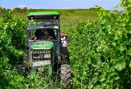 宝威体育APP-意大利迎战北马其顿，能否轻松获胜？(意大利打北非)